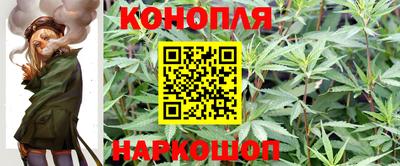 эйфоретик Ливны