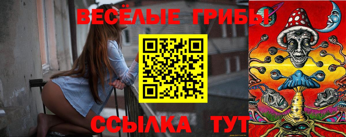 Псилоцибиновые грибы GOLDEN TEACHER Владимир